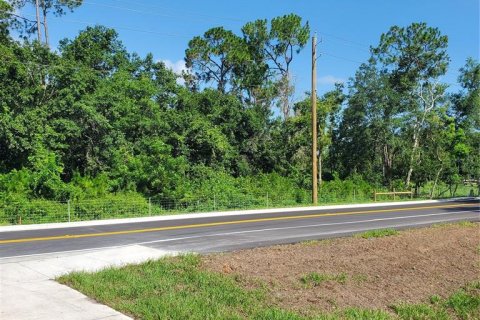 Terreno en venta en Winter Haven, Florida № 1741088 - foto 12