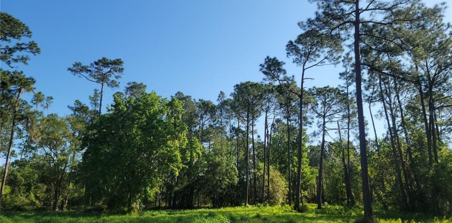 Terreno en Winter Haven, Florida № 1741088