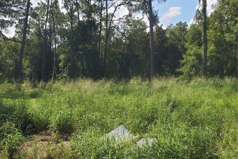 Terreno en venta en Winter Haven, Florida № 1741088 - foto 17
