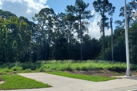 Terreno en venta en Winter Haven, Florida № 1741088 - foto 4