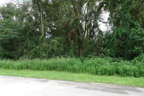 Land in Ocala, Florida № 2377745