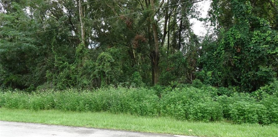 Land in Ocala, Florida № 2377745