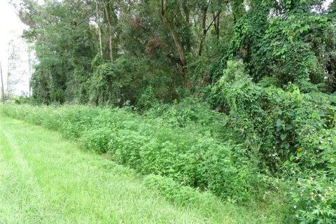 Land in Ocala, Florida № 2377745 - photo 2