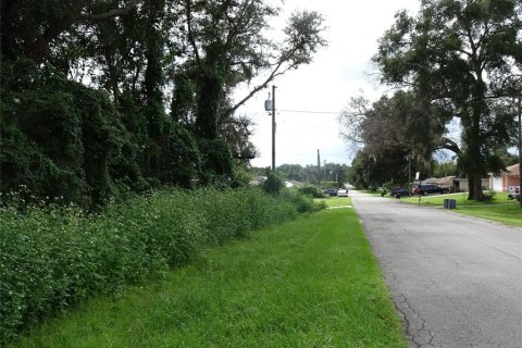 Land in Ocala, Florida № 2377745 - photo 3