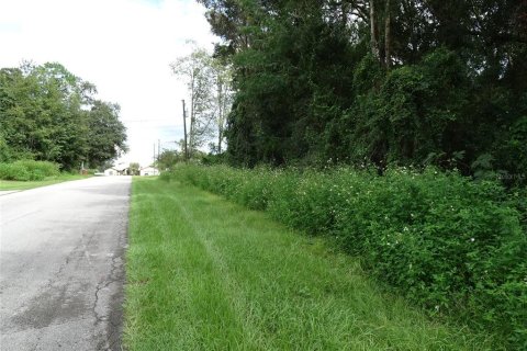 Land in Ocala, Florida № 2377745 - photo 4