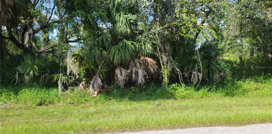 Land in Port Charlotte, Florida № 2163015