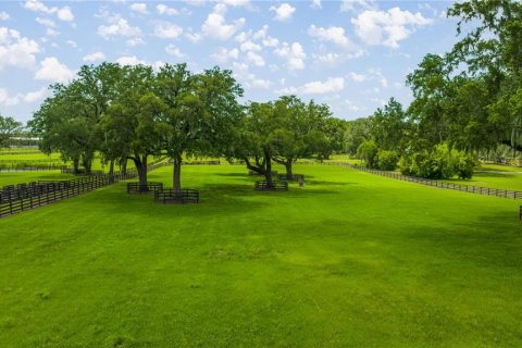 Land in Ocala, Florida № 1746351 - photo 11