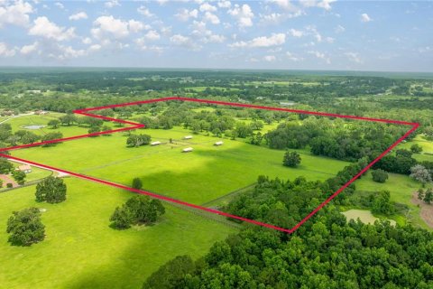 Land in Ocala, Florida № 1746351 - photo 13