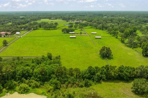 Land in Ocala, Florida № 1746351 - photo 3