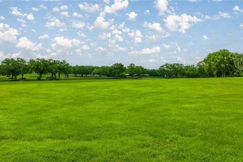 Land in Ocala, Florida № 1746351 - photo 5