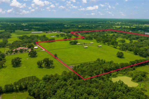 Land in Ocala, Florida № 1746351 - photo 1