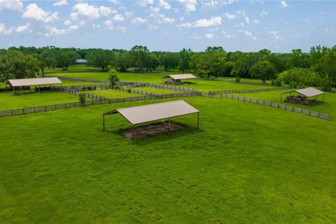Land in Ocala, Florida № 1746351 - photo 7