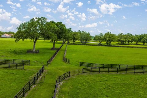 Land in Ocala, Florida № 1746351 - photo 8