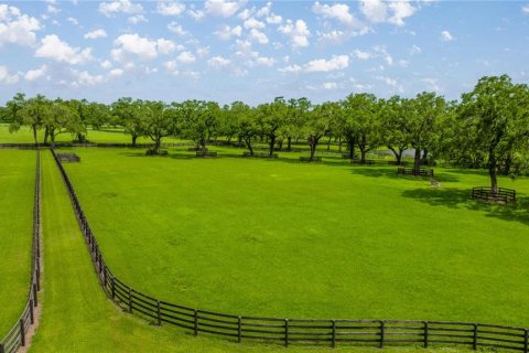 Land in Ocala, Florida № 1746351 - photo 12