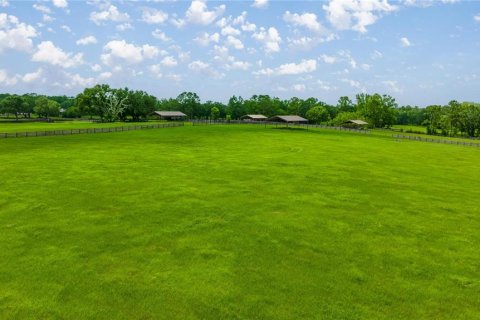 Land in Ocala, Florida № 1746351 - photo 6