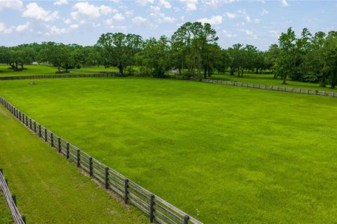 Land in Ocala, Florida № 1746351 - photo 10