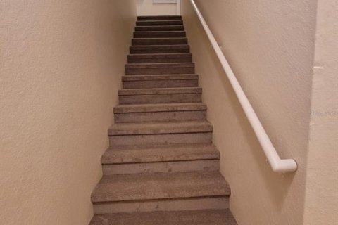 Copropriété à louer à Zephyrhills, Floride: 3 chambres, 118.73 m2 № 2389028 - photo 3