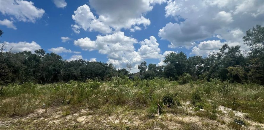 Terreno en Ocala, Florida № 1876938