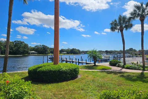 Condo in Tampa, Florida, 1 bedroom № 2228422