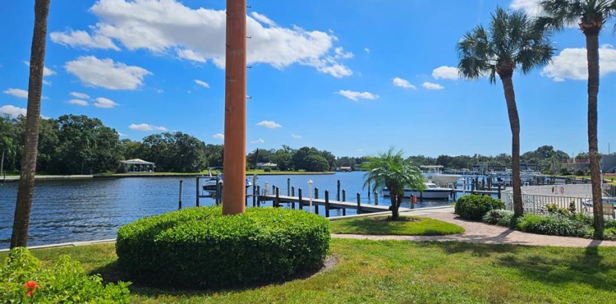 Condo in Tampa, Florida, 1 bedroom № 2228422