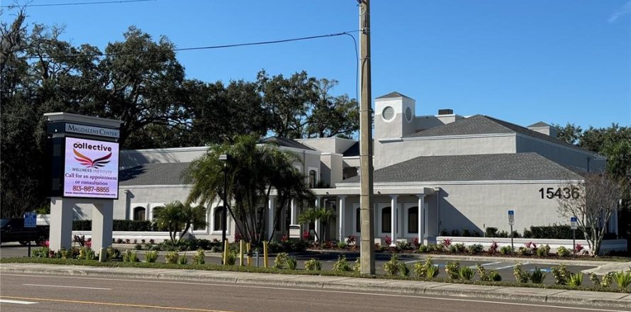 Propiedad comercial en Tampa, Florida 4136.19 m2 № 1106815