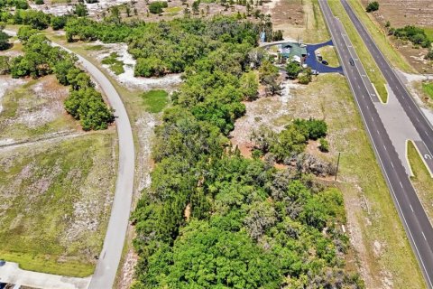 Land in Sebring, Florida № 2381328 - photo 4
