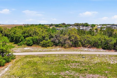 Land in Sebring, Florida № 2381328 - photo 2