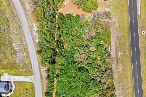 Land in Sebring, Florida № 2381328 - photo 3