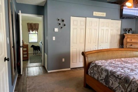 Casa en venta en Safety Harbor, Florida, 3 dormitorios, 157 m2 № 2200514 - foto 17