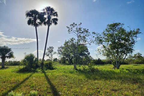 Land in Okeechobee, Florida № 1868282 - photo 11