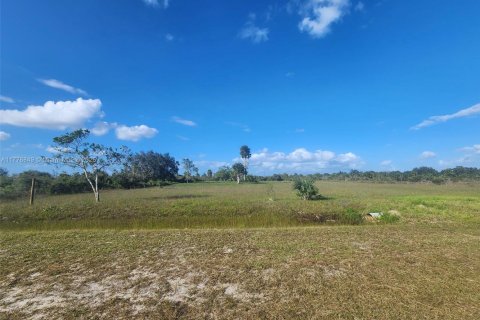 Land in Okeechobee, Florida № 1868282 - photo 17