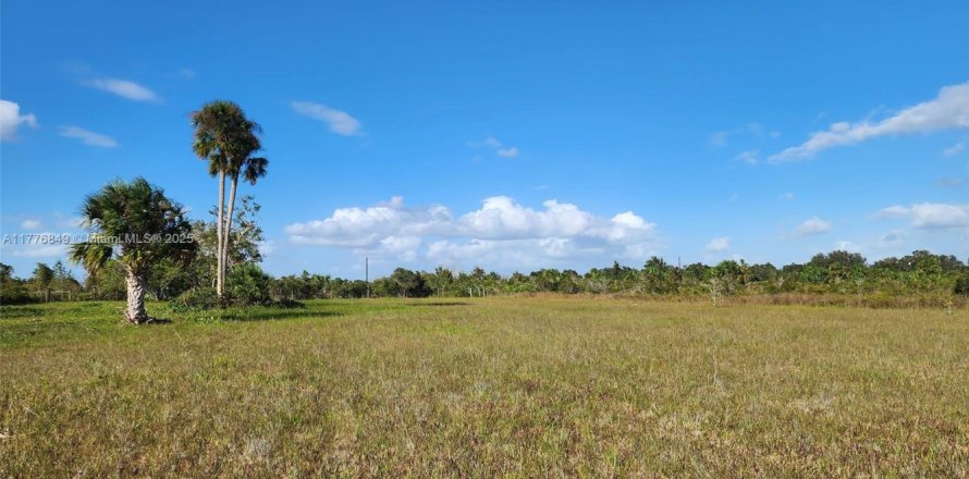 Land in Okeechobee, Florida № 1868282