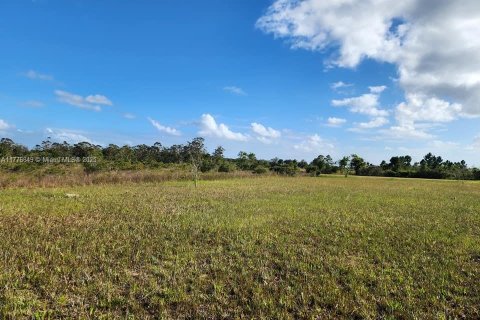 Land in Okeechobee, Florida № 1868282 - photo 13