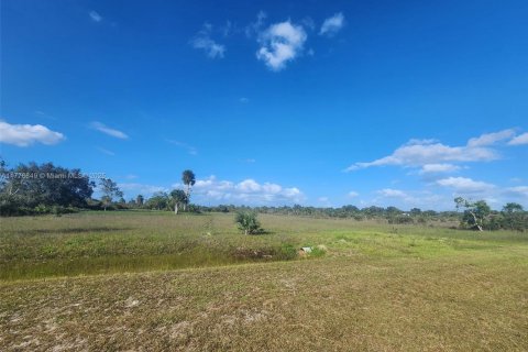 Land in Okeechobee, Florida № 1868282 - photo 14