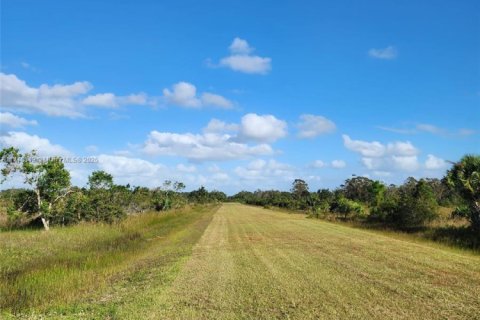 Land in Okeechobee, Florida № 1868282 - photo 5