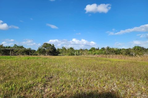Land in Okeechobee, Florida № 1868282 - photo 6