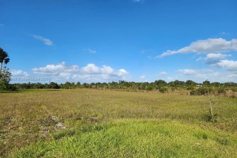 Land in Okeechobee, Florida № 1868282 - photo 2