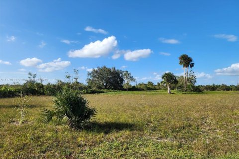 Land in Okeechobee, Florida № 1868282 - photo 7