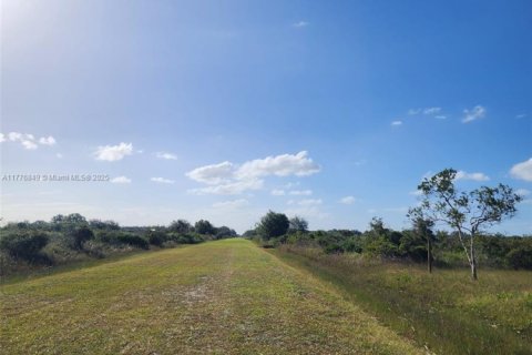 Land in Okeechobee, Florida № 1868282 - photo 9