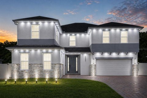 House in Mount Dora, Florida 6 bedrooms, 430.88 sq.m. № 2142545