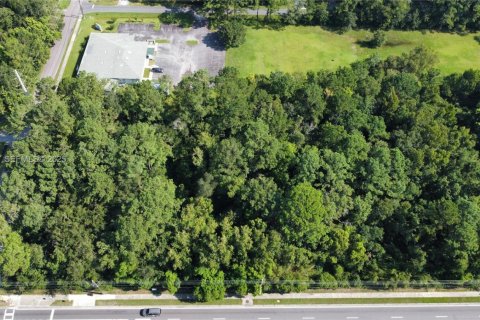 Купить виллу или дом в Джэксонвилл, Флорида № 1991979 - фото 9