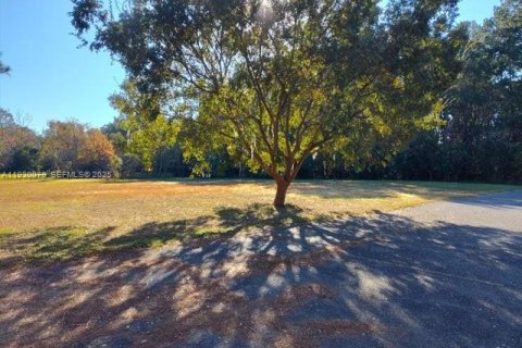 Купить виллу или дом в Джэксонвилл, Флорида № 1991979 - фото 21