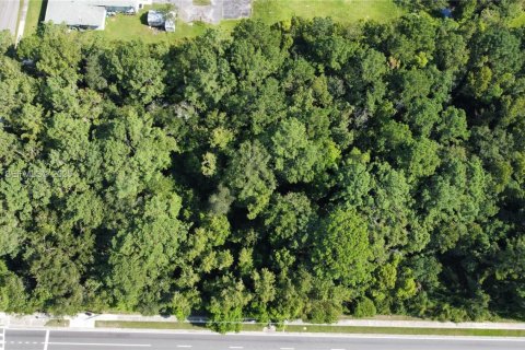 Купить виллу или дом в Джэксонвилл, Флорида № 1991979 - фото 12