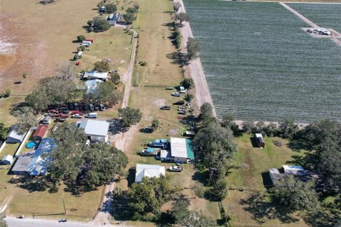 Terreno en venta en Dover, Florida № 1904596 - foto 12