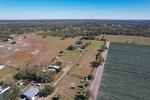Terreno en venta en Dover, Florida № 1904596 - foto 14