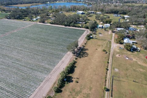 Terreno en venta en Dover, Florida № 1904596 - foto 7