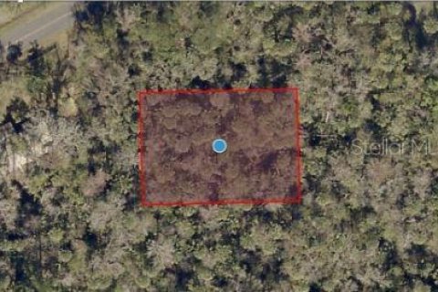 Land in Astor, Florida № 2163512 - photo 3