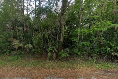 Land in Astor, Florida № 2163512 - photo 4