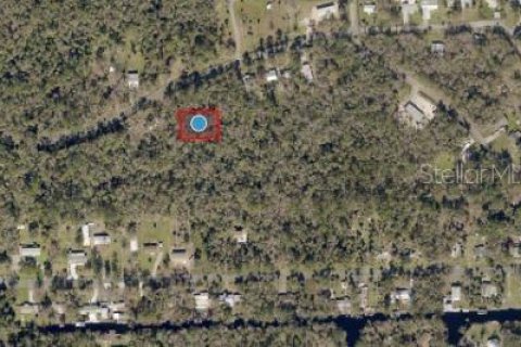 Land in Astor, Florida № 2163512 - photo 2