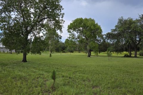 Villa ou maison à vendre à Lake Wales, Floride: 2 chambres, 93.65 m2 № 1876282 - photo 23